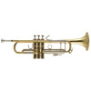 Trompet Bb Bach Stradivarius 18037 ML, Lakkert