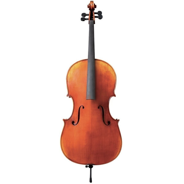 Cello Gewa Maestro 24 Set-up 4/4