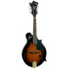 Mandolin Morgan M 70 E AV Elektrisk m/etui