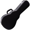 Mandolin Morgan M 70 E AV Elektrisk m/etui