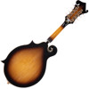 Mandolin Morgan M 70 E AV Elektrisk m/etui