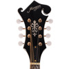 Mandolin Morgan M 70 E AV Elektrisk m/etui