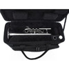 Kornett Bb Stomvi Titan Gold Brass Bell, Forsølvet (incl. Dynasound Valve guides, Valve Clappers and Bottom Cap Clappers)