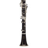 Klarinett Bb Buffet Crampon RC GreenLinE (17/6) Forsølvet mekanikk. Etui