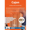 Cajon Sela Varios Series SE-092, Bundle w/Multilingual Method, Brown Graphic