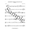 Popular Video Game Music Alto Saxophone. Book and Audio Online