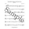 Popular Video Game Music Trumpet. Book and Audio Online