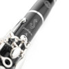 Klarinett Bb Selmer Prologue Delta. Outfit (17)
