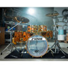 Slagverk Sonor 150th Anniversary Signature Shells Set, Bubinga/Beech w/Gold Hardware