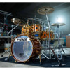 Slagverk Sonor 150th Anniversary Signature Shells Set, Bubinga/Beech w/Gold Hardware