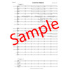 Avsted från Vildgässen (The Parting with the Wild Geese), Britta Byström. Brass Band Version 7. Score