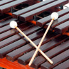 Xylofon Bergerault Performer XPH35, 3,5 Octave, F4-C8, 40mm, Honduras Rosewood