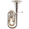 Baritone Sterling Virtuoso, Forsølvet