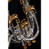 Baritone Sterling Virtuoso, Forsølvet
