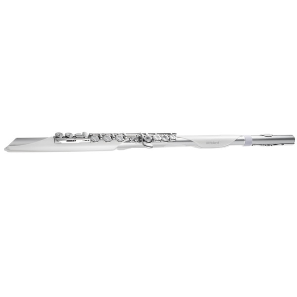 Aerophone Brisa Roland AE-BRISA, Digital Flute