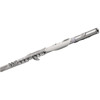 Aerophone Brisa Roland AE-BRISA, Digital Flute