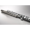 Aerophone Brisa Roland AE-BRISA, Digital Flute
