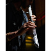 Aerophone Brisa Roland AE-BRISA, Digital Flute