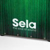 Cajon Sela Varios Series SE-063, Bundle w/Multilingual Method, Green Graphic