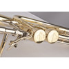 Basstrombone Bb/F/Gb/D Adams TBB1 Selected Series, Double Independent Hagman, Yellowbrass, 0.60mm Ø9,5, Lakkert