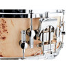 Skarptromme Sonor Artist AS-1406-CM-SDWD, Maple, 14x6, Cottonwood