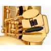 Sopransaksofon Yamaha YSS-875EXHGS