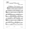 Musica Callada 1, Frederic Mompou. Piano