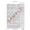 Hjem til jul, Terje Nilsen arr. Øystein S. Heimdal. Concert Band. Digital utgave